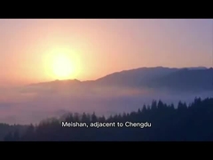기어박스 용도의 공중합체 터폴리머 예비화합물 및 화합물을 위한 FKM